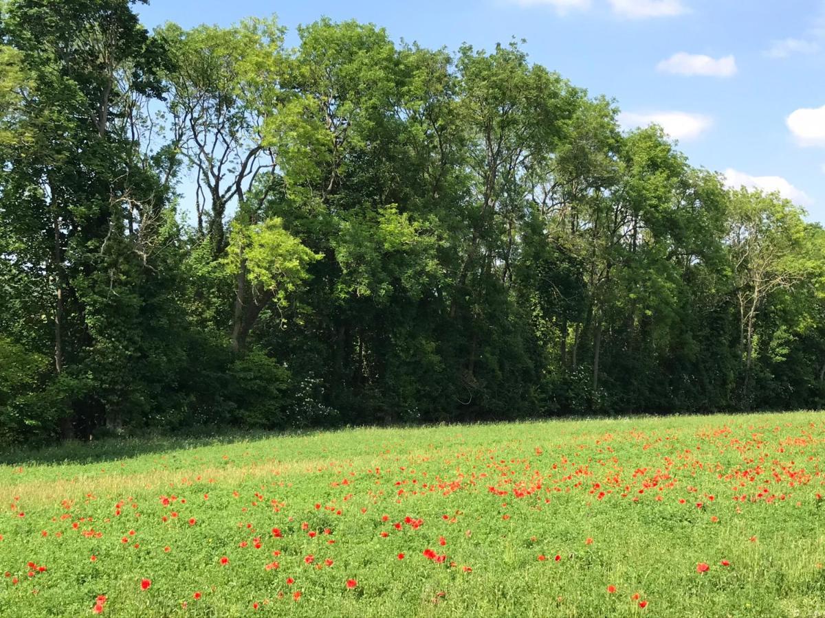 Chambre D'Hotes "Coquelicot" Nurlu Екстер'єр фото